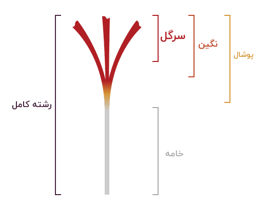 زعفران