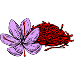 زعفران قاینات