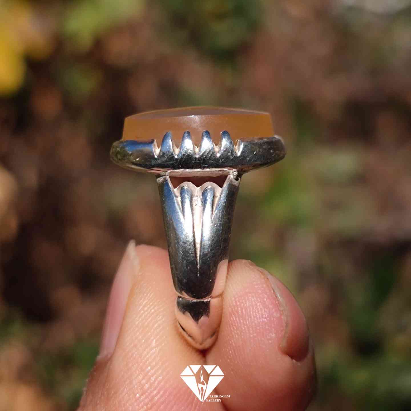 Picsart_25-12-08_18-38-18-534