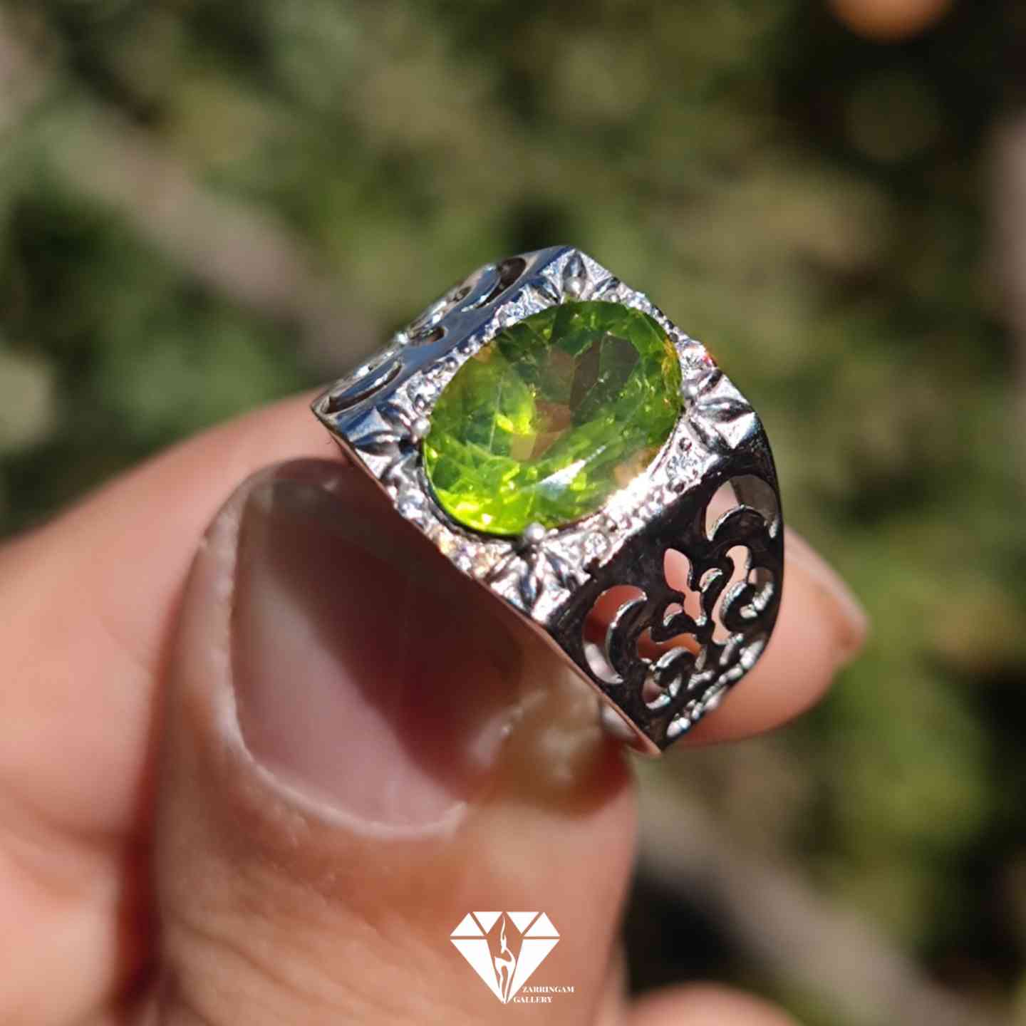 Picsart_25-12-08_18-48-43-017